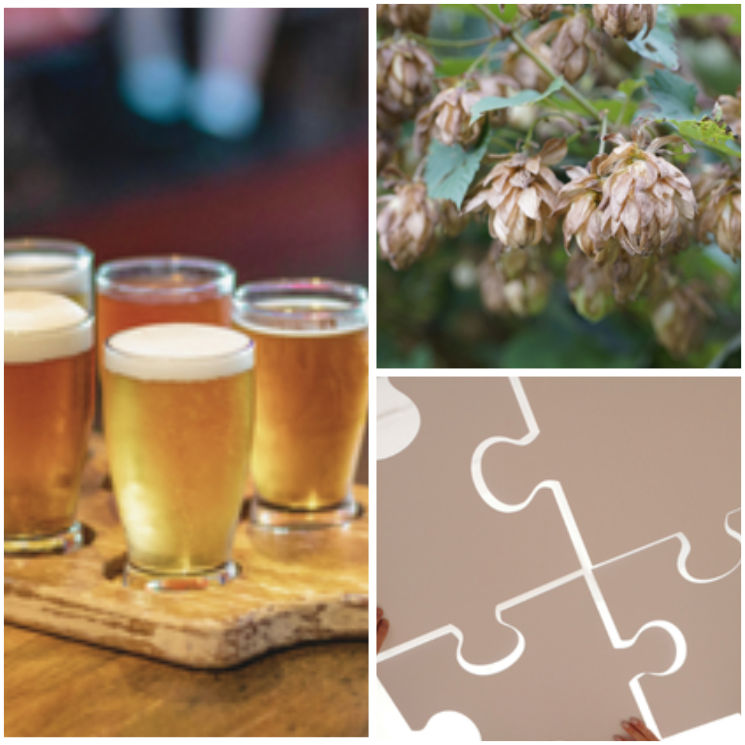 Team building houblon bière cohésion